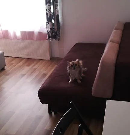 Downtown Apartament *