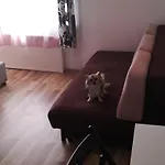 Downtown Apartment *
