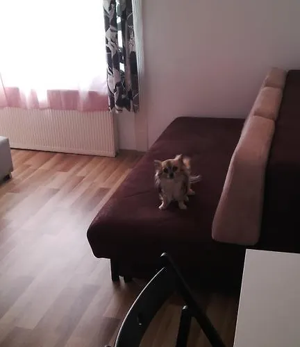 Downtown Appartement *